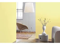 New Alpina Farbrezepte matt 2,5 Liter Lichtes Gelb