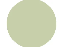 Hot Alpina Wandfarbe Pure Farben 2,5 l Pistaziengrün