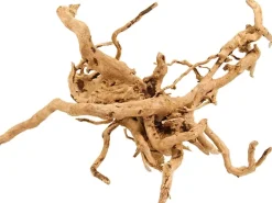 Aquarienwurzel Spiderwood Stück ca. 20 cm -30 cm