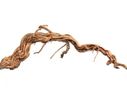 Aquriendekoration Curl-Holz S