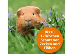 Best ARDAP Spot-On für Kleintiere von 1 - 4 kg