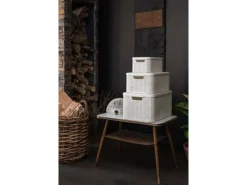 Curver Aufbewahrungsboxen Style 3-er Set Creme S + M + L