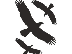 Clearance Aufkleber "Kontur Vogel" 30 cm x 20 cm PVC-Folie