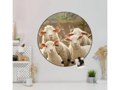 Banjado Magnettafel Rund Größe 47cm Magnetwand Schwarz Aus Metall Magnetpinnwand Pinnwand Motiv Schaffamilie