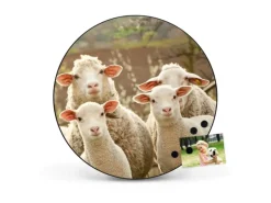 Banjado Magnettafel Rund Größe 47cm Magnetwand Schwarz Aus Metall Magnetpinnwand Pinnwand Motiv Schaffamilie