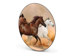 Banjado Magnettafel Rund Größe 47cm Magnetwand Schwarz Aus Metall Magnetpinnwand Pinnwand Motiv Wilde Pferde