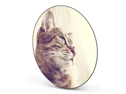 Online Banjado Magnettafel Rund Größe 47cm Magnetwand Schwarz Aus Metall Magnetpinnwand Pinnwand Motiv Holgerson