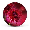 Banjado Magnettafel Rund Größe 47cm Magnetwand Schwarz Aus Metall Magnetpinnwand Pinnwand Motiv Rote Dahlien