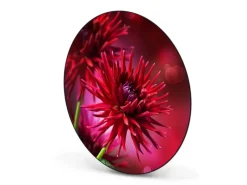 Banjado Magnettafel Rund Größe 47cm Magnetwand Schwarz Aus Metall Magnetpinnwand Pinnwand Motiv Rote Dahlien