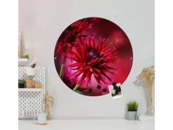 Banjado Magnettafel Rund Größe 47cm Magnetwand Schwarz Aus Metall Magnetpinnwand Pinnwand Motiv Rote Dahlien