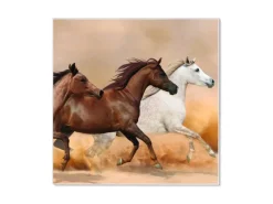 Hot Banjado Magnettafel 50x50cm Magnetwand Weiß Aus Metall Magnetpinnwand Pinnwand Inkl. 4 Magnete Motiv Wilde Pferde