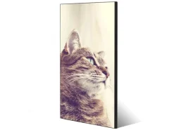 Banjado Magnettafel 37x78cm Magnetwand Schwarz Aus Metall Magnetpinnwand Pinnwand Inkl. 4 Magnete Motiv Holgerson