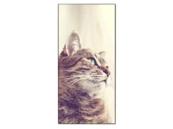 Banjado Magnettafel 37x78cm Magnetwand Schwarz Aus Metall Magnetpinnwand Pinnwand Inkl. 4 Magnete Motiv Holgerson