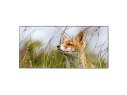 Hot Banjado Magnettafel 78x37cm Magnetwand Schwarz Aus Metall Magnetpinnwand Pinnwand Inkl. 4 Magnete Motiv Fuchs