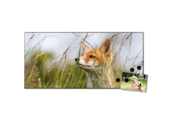 Hot Banjado Magnettafel 78x37cm Magnetwand Schwarz Aus Metall Magnetpinnwand Pinnwand Inkl. 4 Magnete Motiv Fuchs