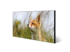 Hot Banjado Magnettafel 78x37cm Magnetwand Schwarz Aus Metall Magnetpinnwand Pinnwand Inkl. 4 Magnete Motiv Fuchs