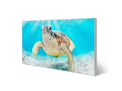 Discount Banjado Magnettafel 78x37cm Magnetwand Silber Aus Metall Magnetpinnwand Pinnwand Inkl. 4 Magnete Motiv Elvis