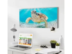 Discount Banjado Magnettafel 78x37cm Magnetwand Silber Aus Metall Magnetpinnwand Pinnwand Inkl. 4 Magnete Motiv Elvis