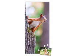 Online Banjado Magnettafel 37x78cm Magnetwand Weiß Aus Metall Magnetpinnwand Pinnwand Inkl. 4 Magnete Motiv Eichhörnchen