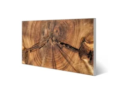 Banjado Magnettafel 78x37cm Magnetwand Silber Aus Metall Magnetpinnwand Pinnwand Inkl. 4 Magnete Motiv Jahresringe