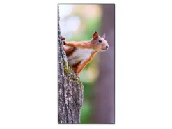 Clearance Banjado Magnettafel 37x78cm Magnetwand Schwarz Aus Metall Magnetpinnwand Pinnwand Inkl. 4 Magnete Motiv Eichhörnchen