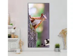 Clearance Banjado Magnettafel 37x78cm Magnetwand Schwarz Aus Metall Magnetpinnwand Pinnwand Inkl. 4 Magnete Motiv Eichhörnchen