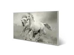 Banjado Magnettafel 78x37cm Magnetwand Silber Aus Metall Magnetpinnwand Pinnwand Inkl. 4 Magnete Motiv Wilde Pferde Sw