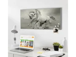Banjado Magnettafel 78x37cm Magnetwand Silber Aus Metall Magnetpinnwand Pinnwand Inkl. 4 Magnete Motiv Wilde Pferde Sw
