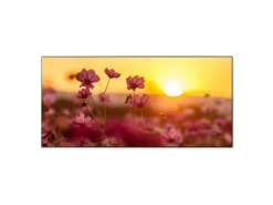 Outlet Banjado Magnettafel 78x37cm Magnetwand Schwarz Aus Metall Magnetpinnwand Pinnwand Inkl. 4 Magnete Motiv Cosmea Feld