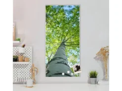 Clearance Banjado Magnettafel 37x78cm Magnetwand Weiß Aus Metall Magnetpinnwand Pinnwand Inkl. 4 Magnete Motiv Zwischen Bäumen 5