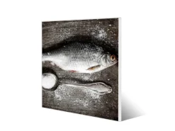 Online Banjado Magnettafel 50x50cm Magnetwand Weiß Aus Metall Magnetpinnwand Pinnwand Inkl. 4 Magnete Motiv Fisch Und Salz