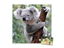 Clearance Banjado Magnettafel 50x50cm Magnetwand Weiß Aus Metall Magnetpinnwand Pinnwand Inkl. 4 Magnete Motiv Koala