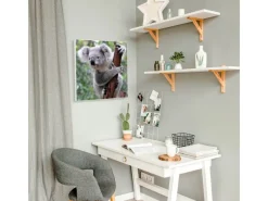 Clearance Banjado Magnettafel 50x50cm Magnetwand Weiß Aus Metall Magnetpinnwand Pinnwand Inkl. 4 Magnete Motiv Koala