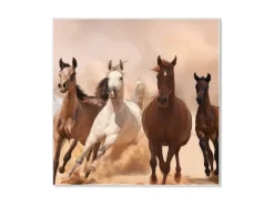 Online Banjado Magnettafel 50x50cm Magnetwand Weiß Aus Metall Magnetpinnwand Pinnwand Inkl. 4 Magnete Motiv Mongolische Stimmung