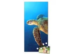 Banjado Magnettafel 37x78cm Magnetwand Silber Aus Metall Magnetpinnwand Pinnwand Inkl. 4 Magnete Motiv Wasserschildkröte