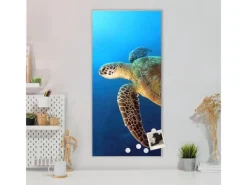 Banjado Magnettafel 37x78cm Magnetwand Silber Aus Metall Magnetpinnwand Pinnwand Inkl. 4 Magnete Motiv Wasserschildkröte