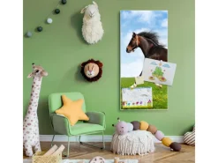 Banjado Magnettafel 37x78cm Magnetwand Weiß Aus Metall Magnetpinnwand Pinnwand Inkl. 4 Magnete Motiv Pferd