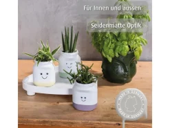 Outlet belton Buntlack Perfect Flower Seidenmatt 150 ml Lavendel