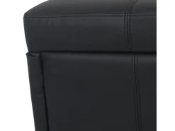 Outlet BERLINLODGE Aufbewahrungs-Truhe Lars 45x114x45cm Kunstleder Matt Schwarz