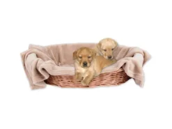Bestlivings Tierdecke Hundedecke Mikrofaser 90 x 140 cm Sandbeige