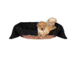 Bestlivings Tierdecke Hundedecke Mikrofaser 80 x 120 cm Schwarz