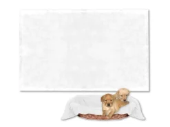 Discount Bestlivings Tierdecke Hundedecke Mikrofaser 70 x 100 cm Weiß