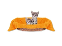 Bestlivings Tierdecke Katzendecke Mikrofaser 90 x 140 cm Maisgelb