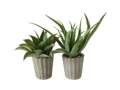 Boltze Topfpflanze Aloe Vera 2-fach Sortiert 50 cm x 15 cm x 50 cm Grün