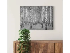 Online Bricoflor Birkenwald Bild Auf Leinwand In Schwarz Weiß Wandbild Mit Wald Motiv Ideal Für Schlafzimmer Und Flur Glattes Leinwandbild Auf Keilrahmen