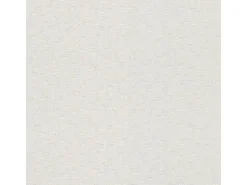 Bricoflor Helle Tapete überstreichbar Uni Vliestapete mit Vinyl zum überstreichen für Wohnzimmer und Büro Einfarbige Vlies Wandtapete Schlicht