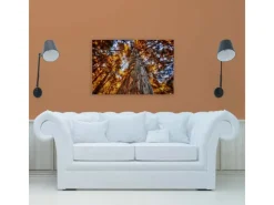 Bricoflor Herbstbild Auf Leinwand Baumkronen Bild Orange Blau Für Wohnzimmer Und Büro Leinwandbild Mit Herbstwald In 90 X 60 Cm