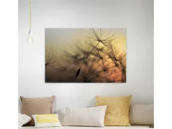 Bricoflor Leinwand Mit Pusteblume In Grau Gold Natur Wandbild Mit Sonnenuntergang Ideal Für Schlafzimmer Und Flur Canvas Bild Auf Keilrahmen