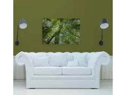 Bricoflor Leinwandbild Wald 120X80 Cm Natur Wandbild Grün Für Wohnzimmer Und Schlafzimmer Deko Leinwand Mit Baumkronen
