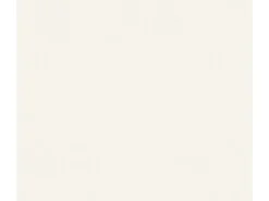 Best Bricoflor Strukturtapete zum überstreichen für Wohnzimmer und Flur Weiße Tapete Einfarbig Vliestapete überstreichbar